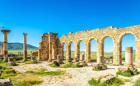 古代城市摩洛哥沃卢比利斯巴背景图片