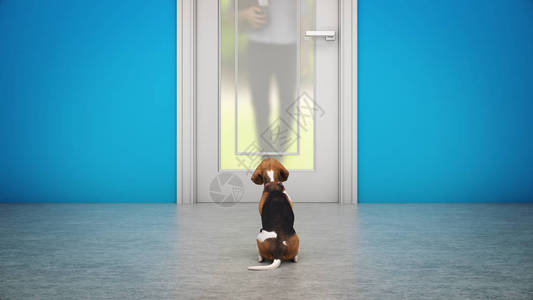狗在前门等候3d渲染图片