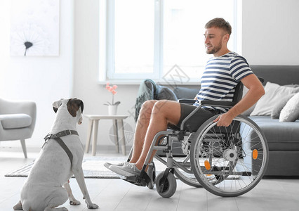 家中带着服务狗坐在轮椅图片