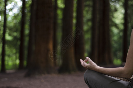 坐在莲花位置的女人在图片