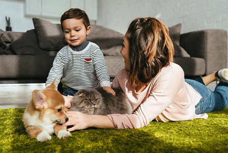 母亲和儿子与狗和猫一起躺在地板上在家图片