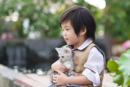 抱着猫咪的小男孩图片