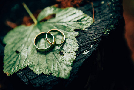 树叶上的结婚戒指图片