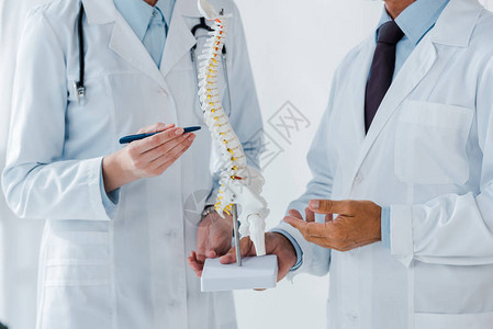 医生将脊椎模型架放在诊所同事旁图片
