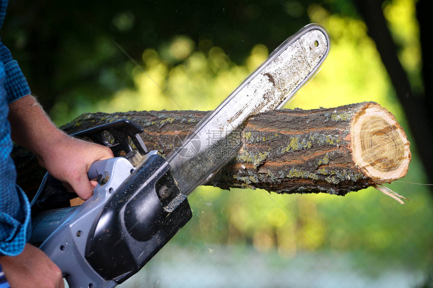 用电锯砍树的人高清图片下载-正版图片502712245-摄图网