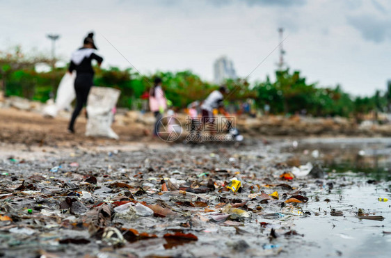 志愿者收集垃圾的模糊海滩环境污染志愿者清理海滩清理海滩上的垃圾海滩上的油渍石图片