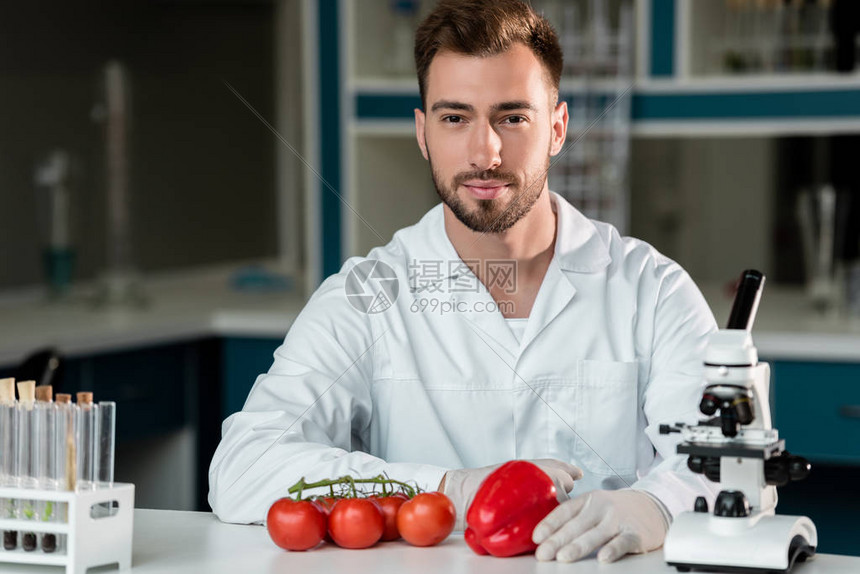 从事蔬菜和实验室照相机研究的英俊男科学家