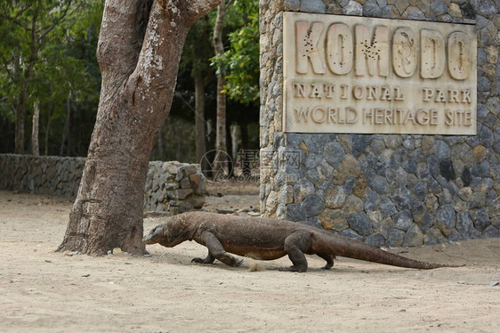 在Komodo公园标志下监视图片