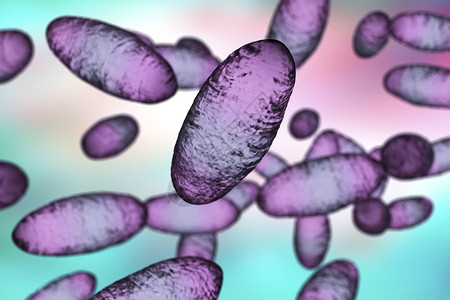 3D图解显示两极污渍和细菌的无形态图片