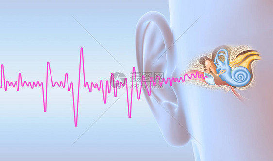 耳鸣和人耳与中耳中耳炎耳道鼓膜耳道和耳蜗神经图片