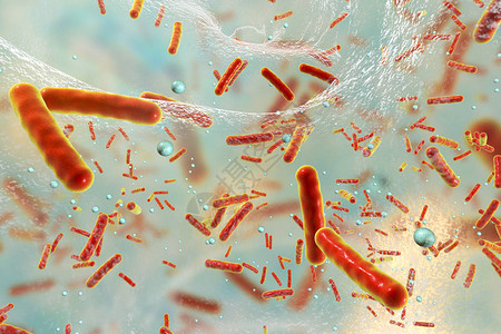 生物膜内的抗生素耐药细菌图片