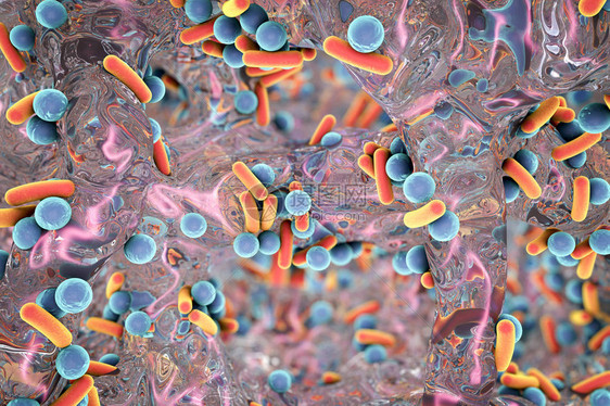 抗生素抗细菌的生物膜杆状和球形细菌大肠杆菌假单胞菌结核分枝杆菌克雷伯氏菌金黄色葡萄球菌耐甲氧西林金黄色葡萄球菌图片