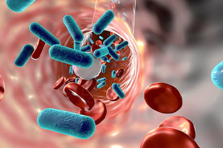 3D插图血液中的细菌请查看血管内图片