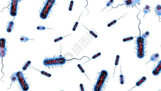 细菌细胞宏观3图片