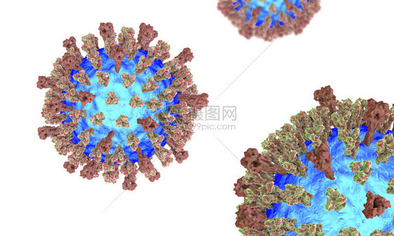 在白色背景上分离出的麻疹3D插图显示麻疹结构与表面糖蛋白尖峰血凝素神经氨酸图片