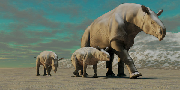 一个像犀牛一样的麻痹肝炎母亲有两头双幼崽在奥利戈森时代的一个石图片
