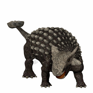 Ankylosaurus是一只装甲板条恐龙图片