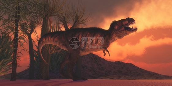 一只暴龙雷克斯恐龙在北美的白日落山时咆哮着要图片