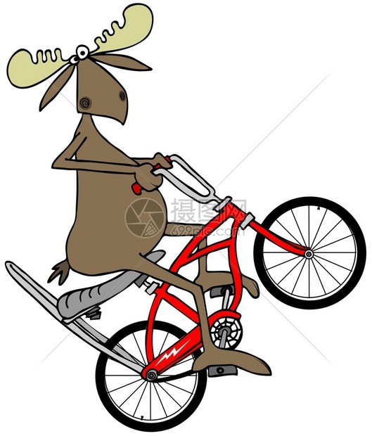 一头公牛驼鹿在一辆带有加长车把和香蕉座椅的红色自行车上弹出图片