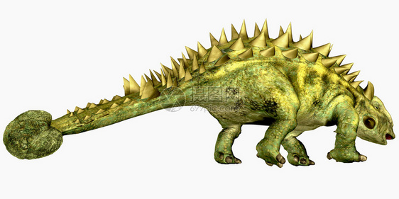 塔拉鲁斯是一只食草恐龙有一条俱乐部尾巴它生活在蒙图片