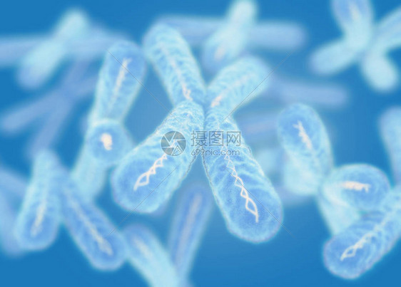 染色体X显微模型3d插图图片
