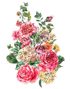 含有粉红玫瑰HydrangeaSnail和野花植物香味贺卡白背图片