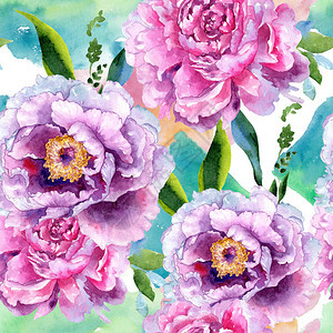 水彩风格的野花牡丹粉红色花卉图案背景纹理包装图案框架或边框图片