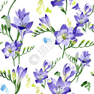 紫色小苍兰无缝背景图案织物壁纸打印背景包装图案框架或边框图片