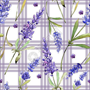 水彩紫色薰衣草花卉植物花无缝背景图案织物壁纸打印纹理背景质地包装图案图片