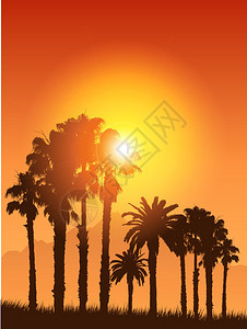 热带风景与棕榈树剪影反对日落天空图片
