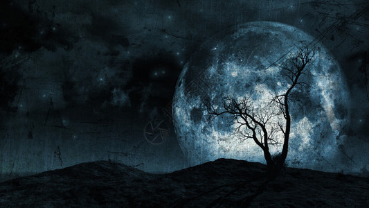 在夜空中的月亮下树上一棵树的图片