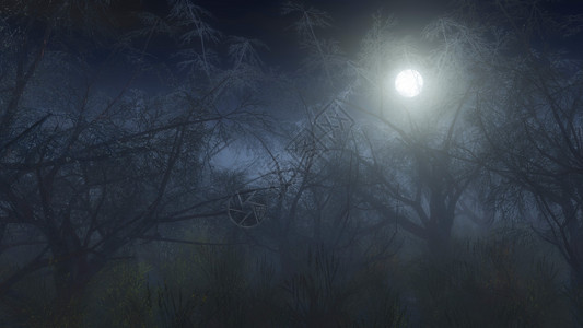 月光下雾中的幽灵般的冬季森林图片