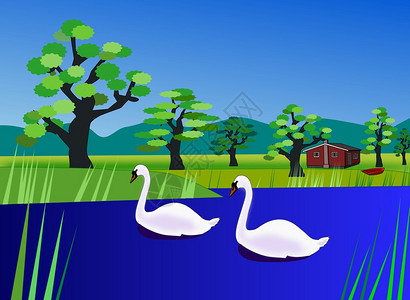 两只天鹅在河上游泳和风景与豪斯和一些图片