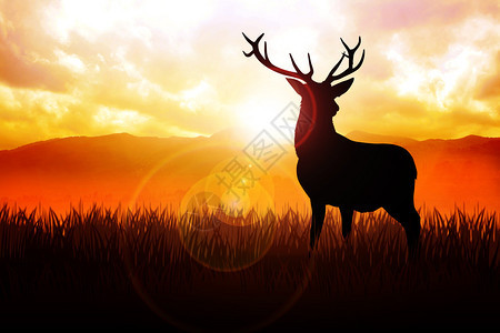 日出时在草地上捕鹿的Silhou图片