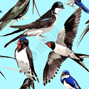 水彩风格的野生动物中的天空鸟燕子图案图片