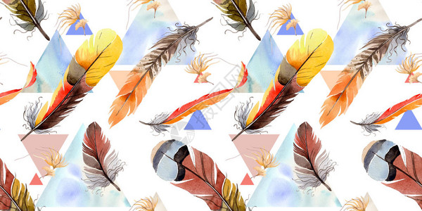 从翅膀的水彩鸟羽毛图案背景包装图案框架或边框图片