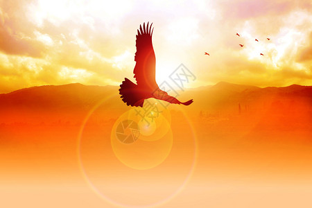 阿尔滕贝格一只老鹰在日出时飞翔的剪影插图插画