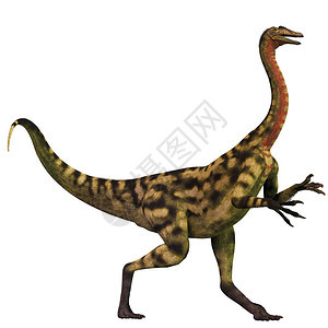 Deinocheirus是一只食肉恐龙生活在蒙古最图片