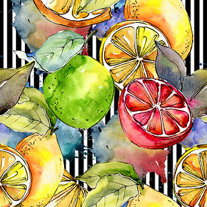 异国情调的柠檬柑橘水彩风格图案图片