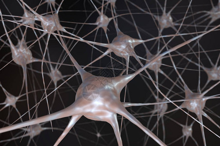 大脑中的神经细胞3D图片