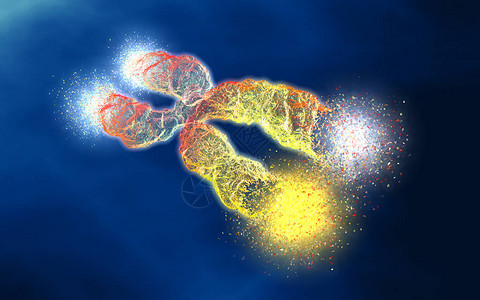 3D插图显示染色体和图片