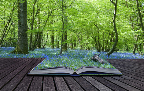 包含蓝铃木林溢出和融入背景的魔法书的内容图片