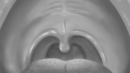 口腔灰色图像口腔护理卫生和健康数字图片