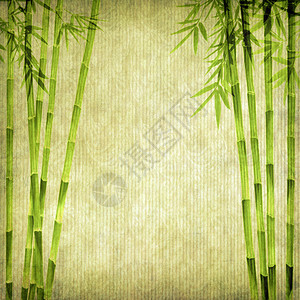用手工纸质感的竹树设计图片