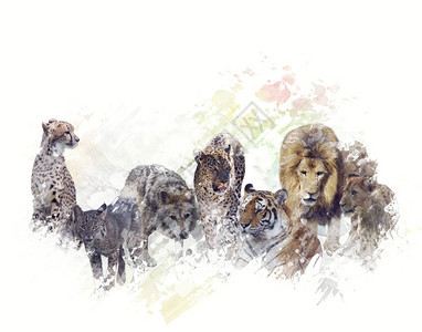 一群野生动物的数字绘画图片