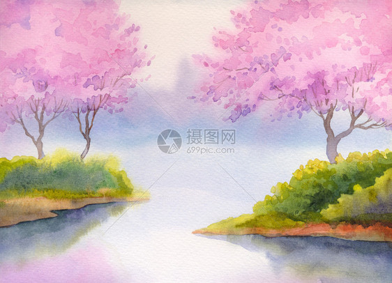 河边粉色樱花的水彩画图片