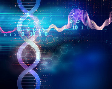 关于抽象技术背景生物化学概念和遗传理论的dna分子图片