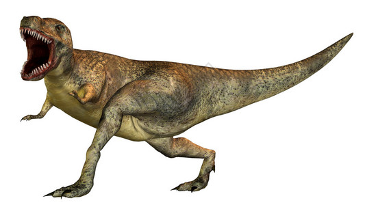 恐龙的3D插图图片