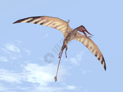 计算机用PterosaurRhamphorhynchus生图片