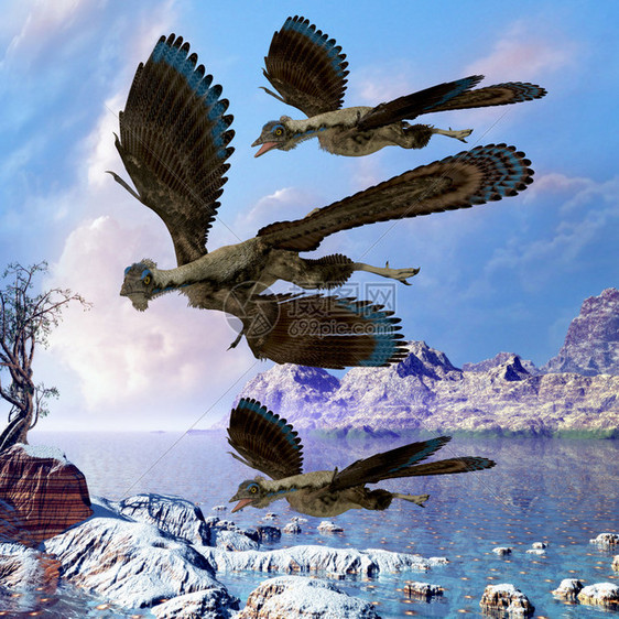 在史前多云的一天考古爬行动鸟在海岸线图片